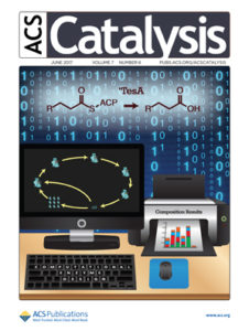 ACS Catal