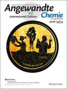 Angew. Chem. Int. Ed.