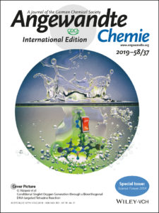 Angew. Chem. Int. Ed.