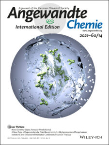 Angew. Chem. Int. Ed.