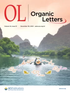 Org. Lett.