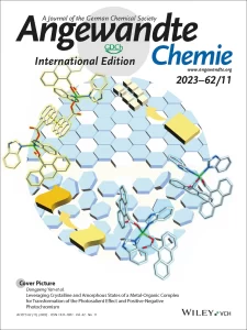 Angew. Chem. Int. Ed.