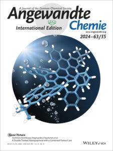 Angew. Chem. Int. Ed.